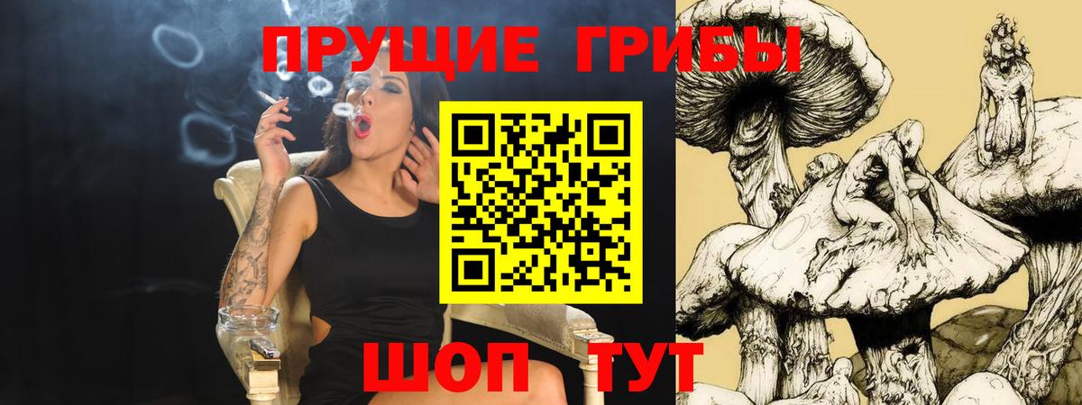 Псилоцибиновые грибы GOLDEN TEACHER Лесной