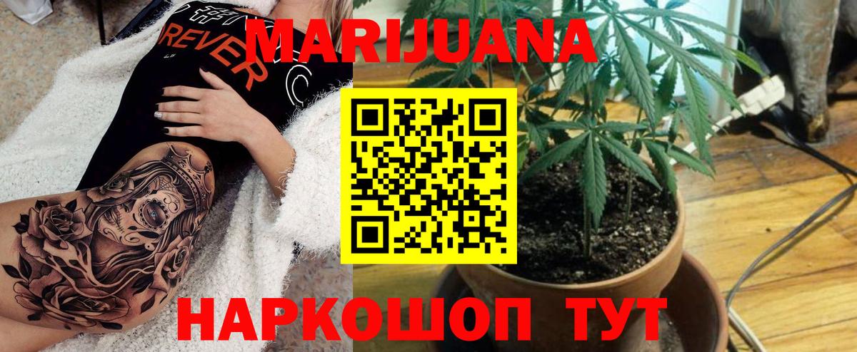 МАРИХУАНА ГИДРОПОН Лесной